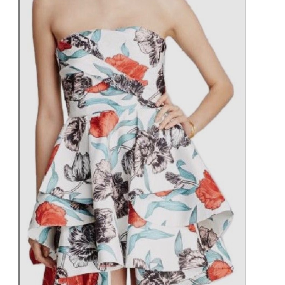 C/Meo Collective "Shaken Up" dress, NWT, sz Large